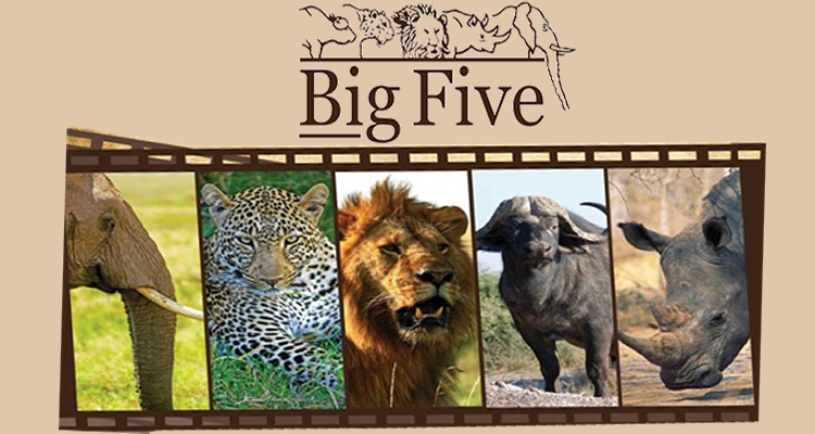 Welcome to Big Five Tours & Safaris Ltd :: Home Page